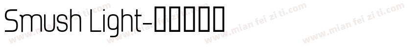 Smush Light字体转换